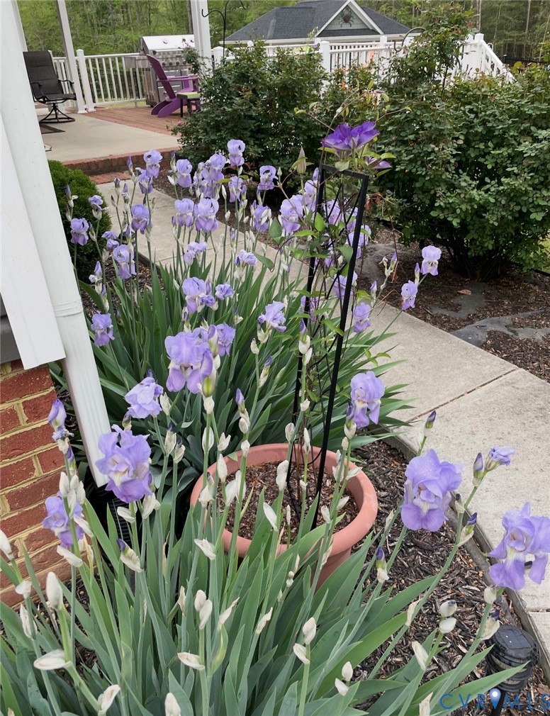 7844 Olivet Church Road New Kent, VA 23124 - Photo 42 of 43