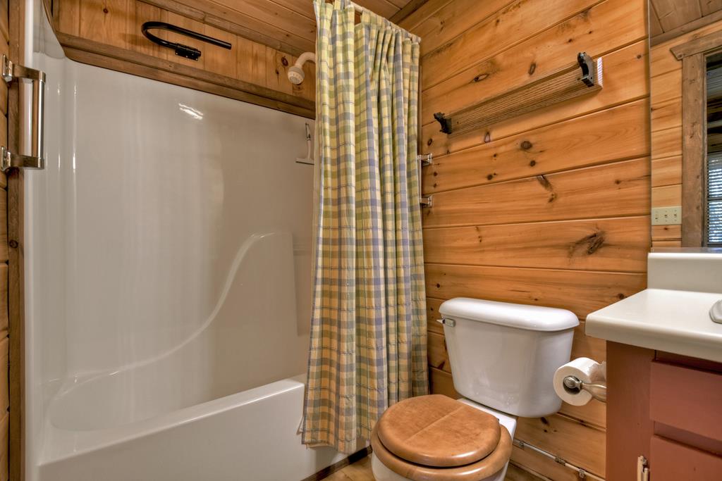 99 Cedar Ridge Road Cherry Log, GA 30522 - Photo 37 of 56 Lower level bathroom