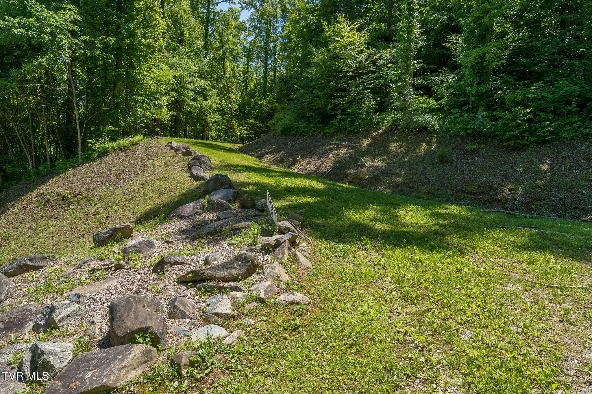 3 Ridgetop Lane, Unit 3 Unicoi, TN 37692 - Photo 1 of 20 Lot 2 Ridgetop Ln (38 of 47)
