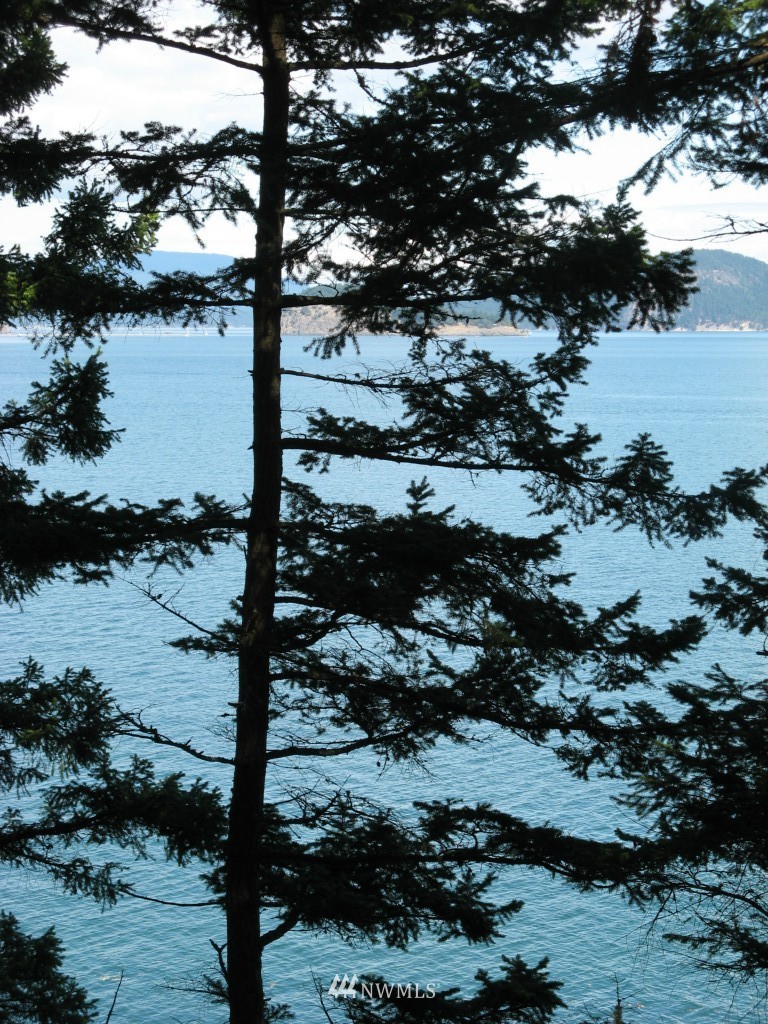 435 Sunrise Road Lopez Island, WA 98261 - Photo 6 of 10
