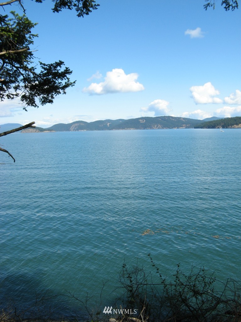 435 Sunrise Road Lopez Island, WA 98261 - Photo 7 of 10
