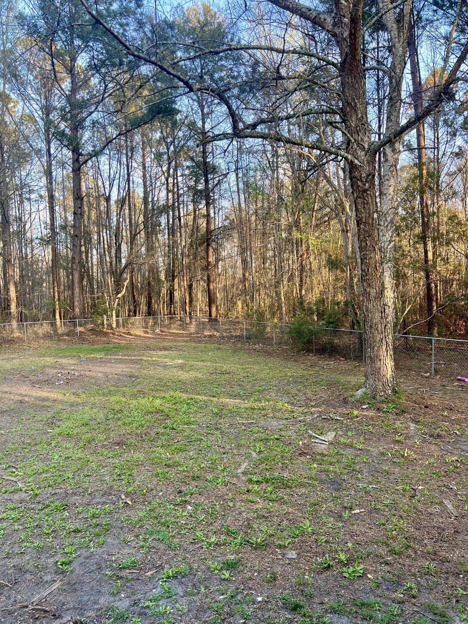 1343 Winding Creek Road Walterboro, SC 29488 - Photo 37 of 42 IMG_0244