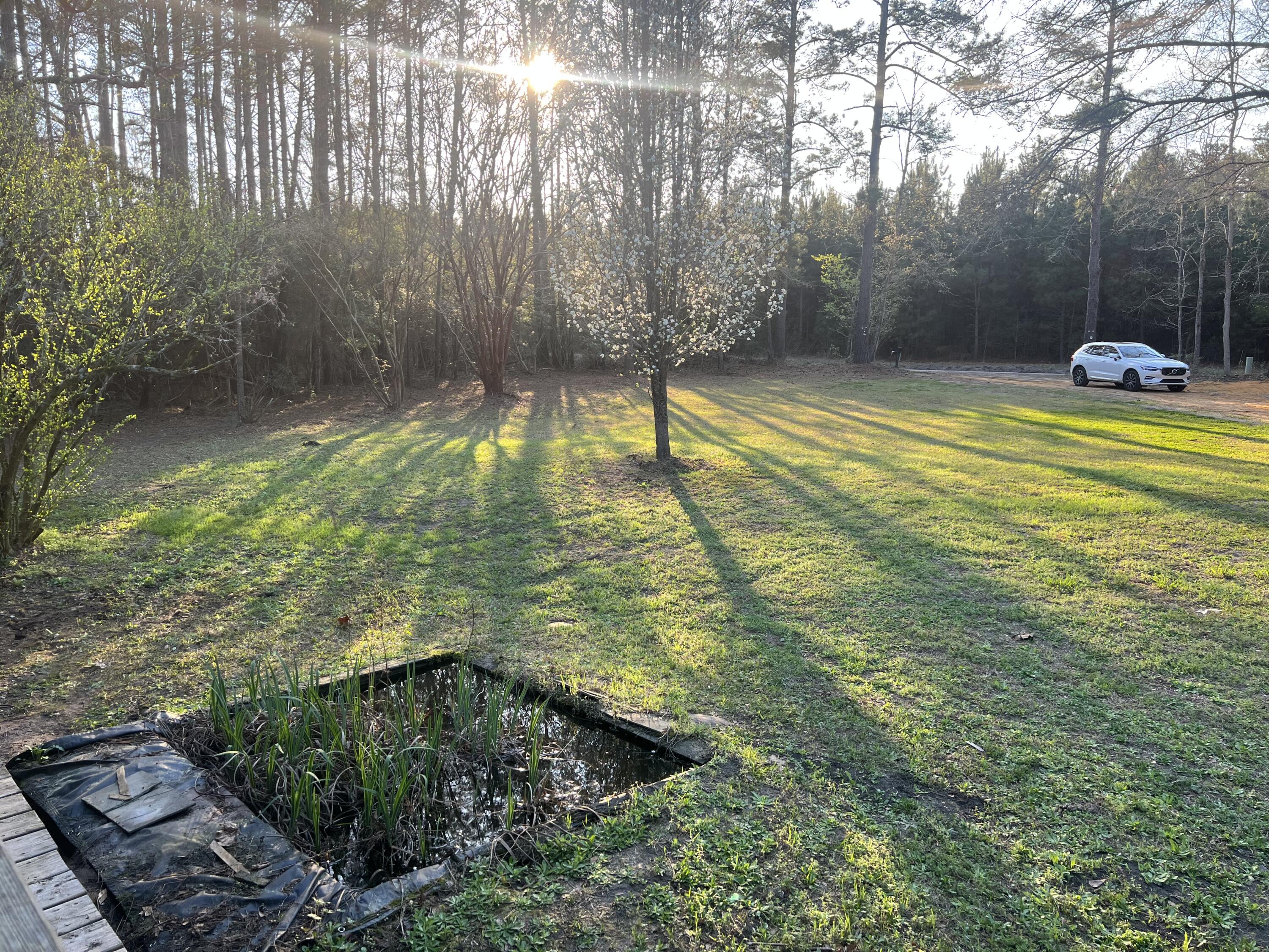 1343 Winding Creek Road Walterboro, SC 29488 - Photo 38 of 42 IMG_0248