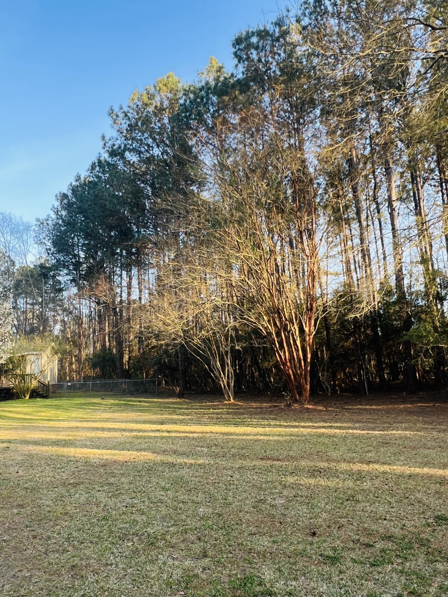 1343 Winding Creek Road Walterboro, SC 29488 - Photo 40 of 42 IMG_0257