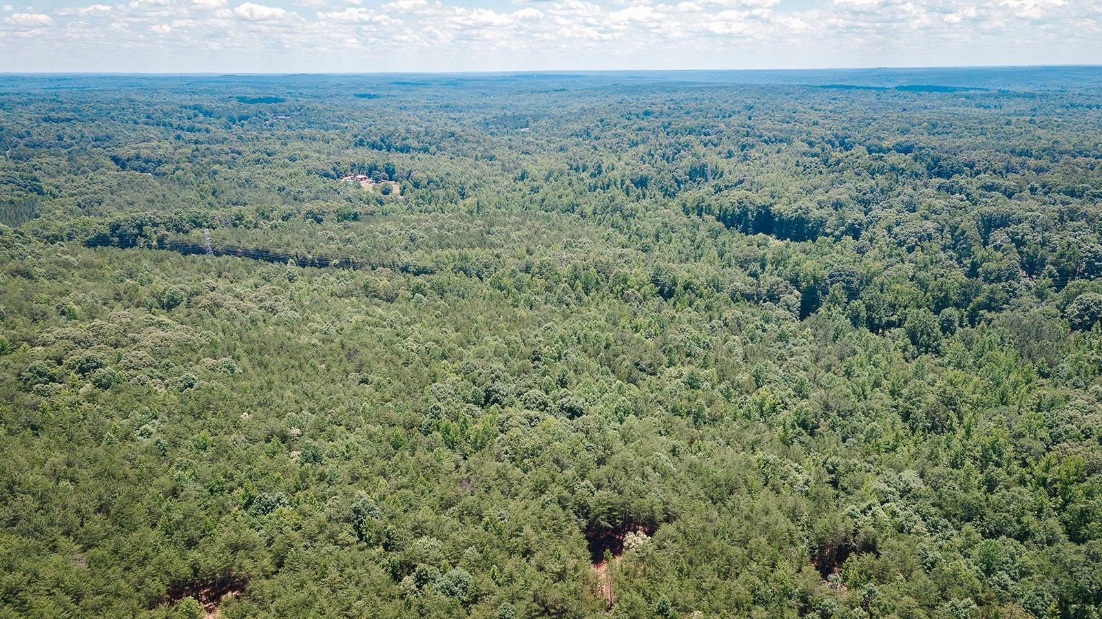 2109 Riddle Road Pauline, SC 29374 - Photo 7 of 14