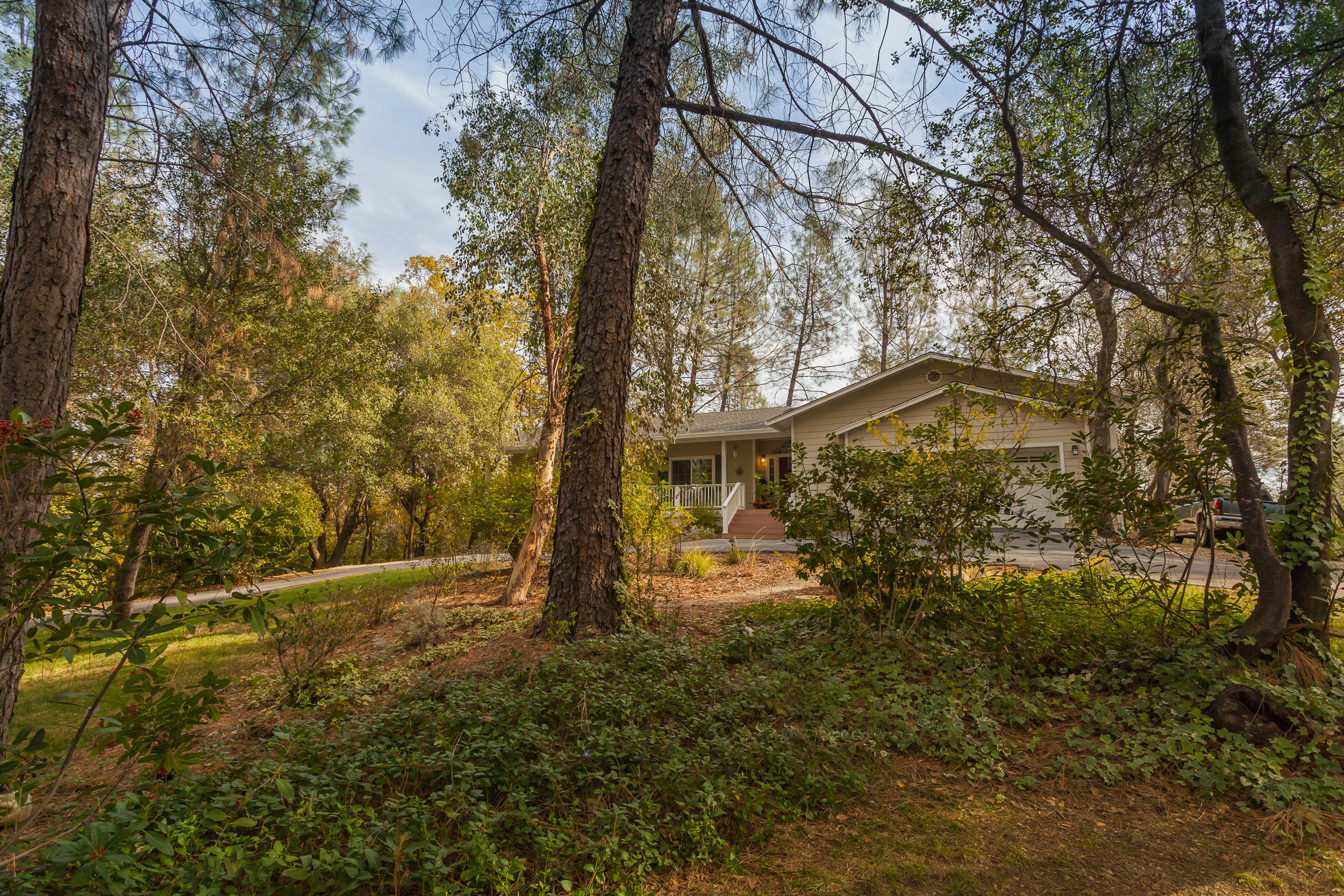 12199 Macs Road Redding, CA 96003 - Photo 4 of 36 a view of outdoor space and yard