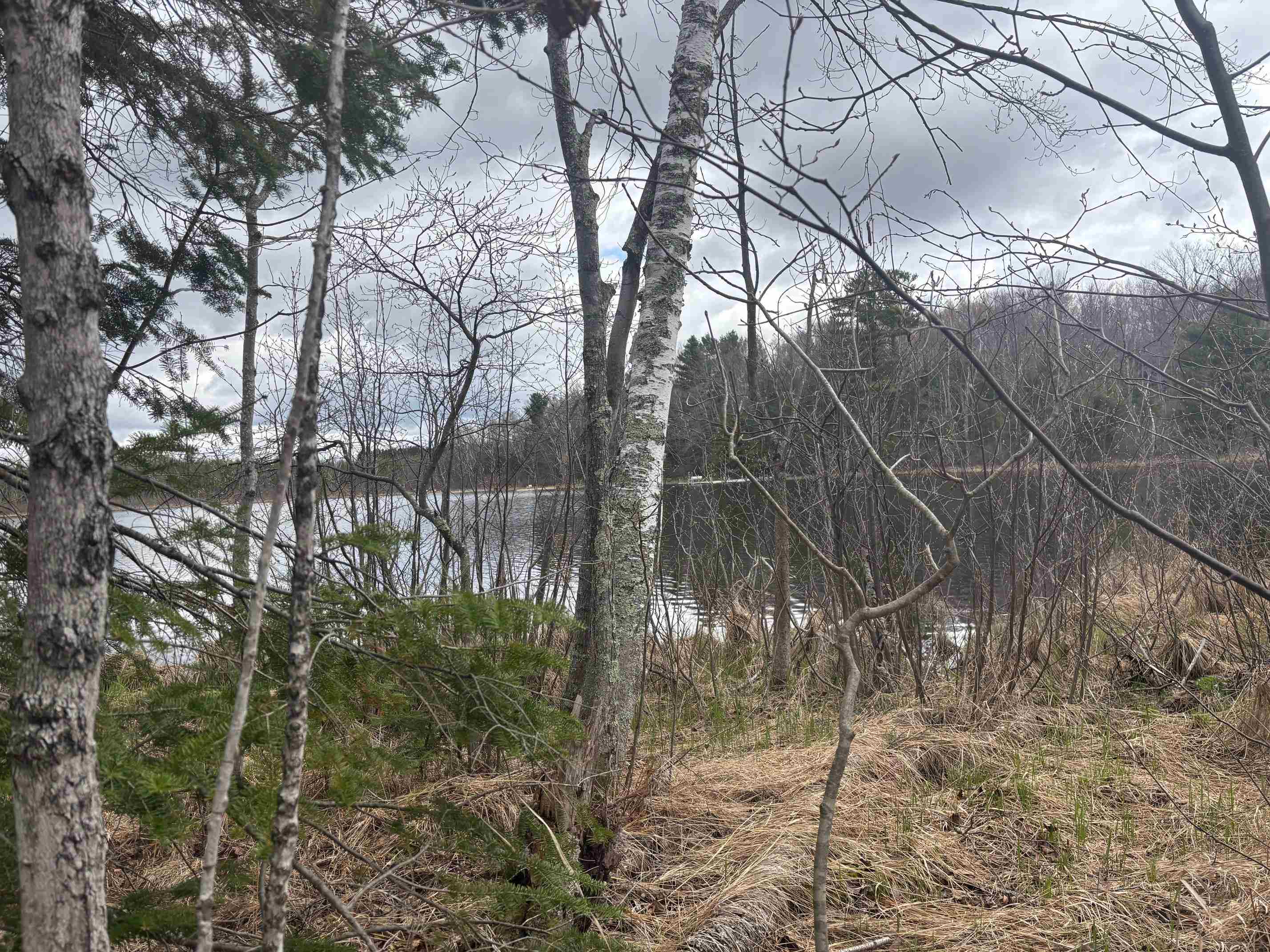15744 Double B Lane Mountain, WI 54149 - Photo 41 of 70