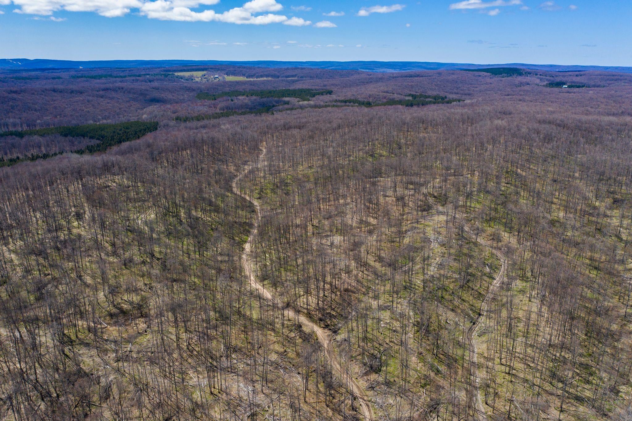 South Durkalic Road Pellston, MI 49769 - Photo 13 of 32