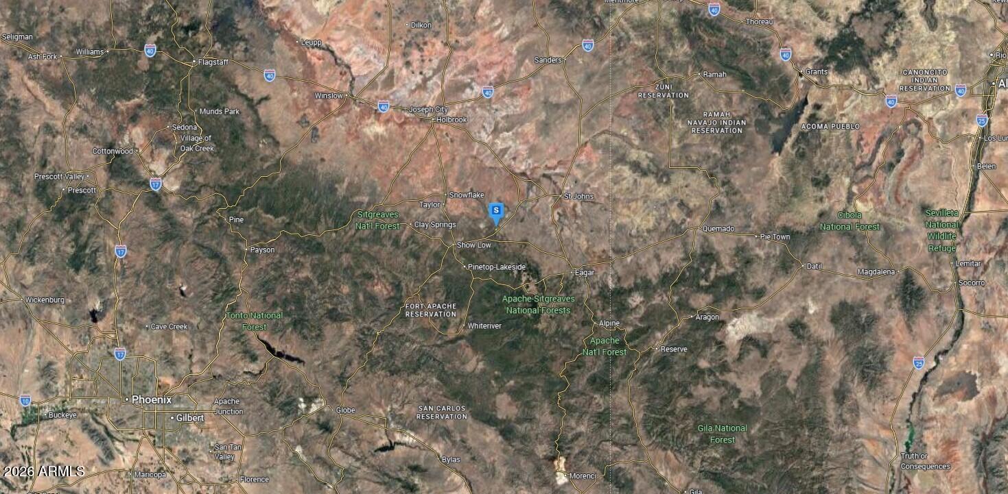 29 County Road Concho, AZ 85924 - Photo 4 of 4 a view of a yard with a tree