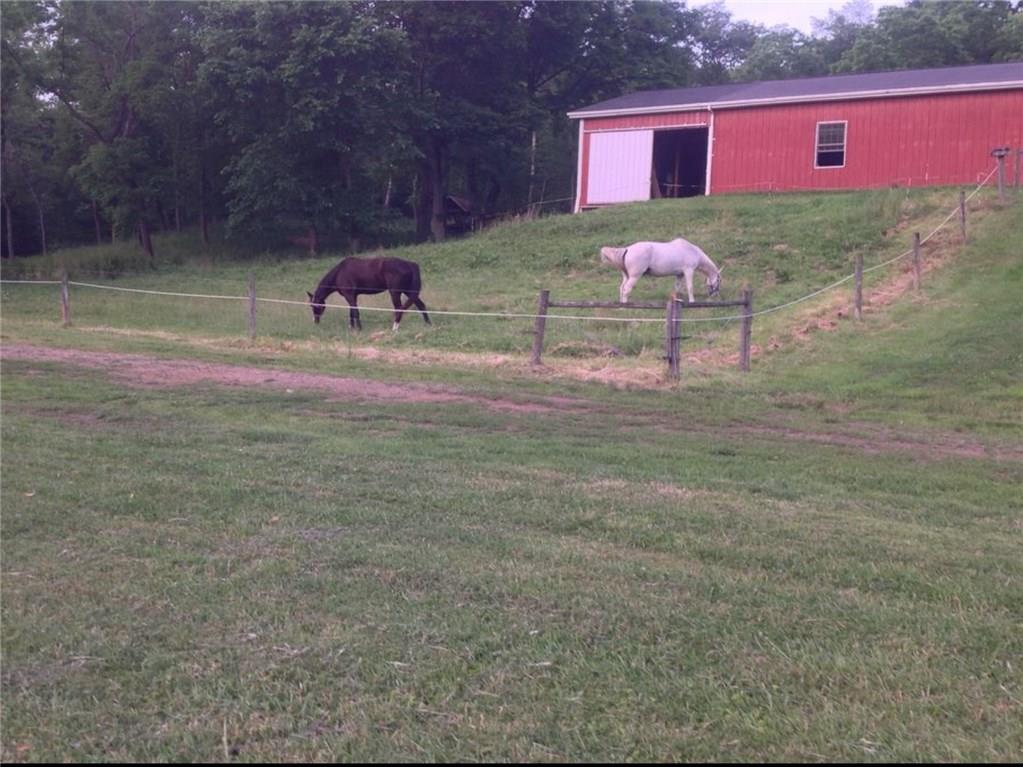 120 Cable Road New Brighton, PA 15066 - Photo 19 of 24 Green pasture with barn in background