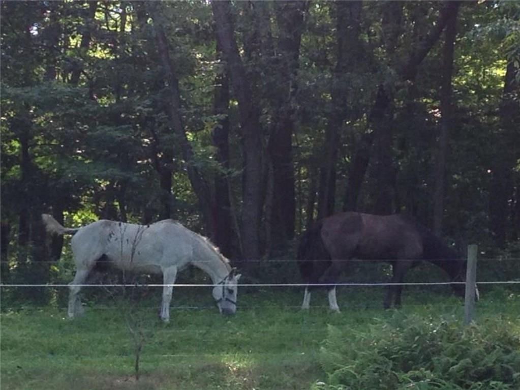 120 Cable Road New Brighton, PA 15066 - Photo 22 of 24 Lots of green space for your horses