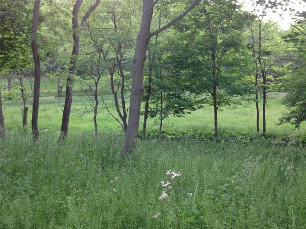 120 Cable Road New Brighton, PA 15066 - Photo 4 of 24 Lush green acreage