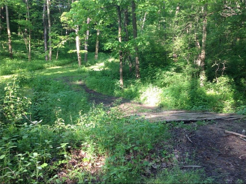120 Cable Road New Brighton, PA 15066 - Photo 5 of 24 Bridge over creek to trails