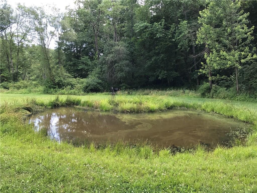 120 Cable Road New Brighton, PA 15066 - Photo 8 of 24 Pond