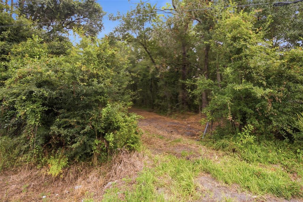 0 Old Dade City Road Kathleen, FL 33849 - Photo 16 of 29 Gallery Image 16
