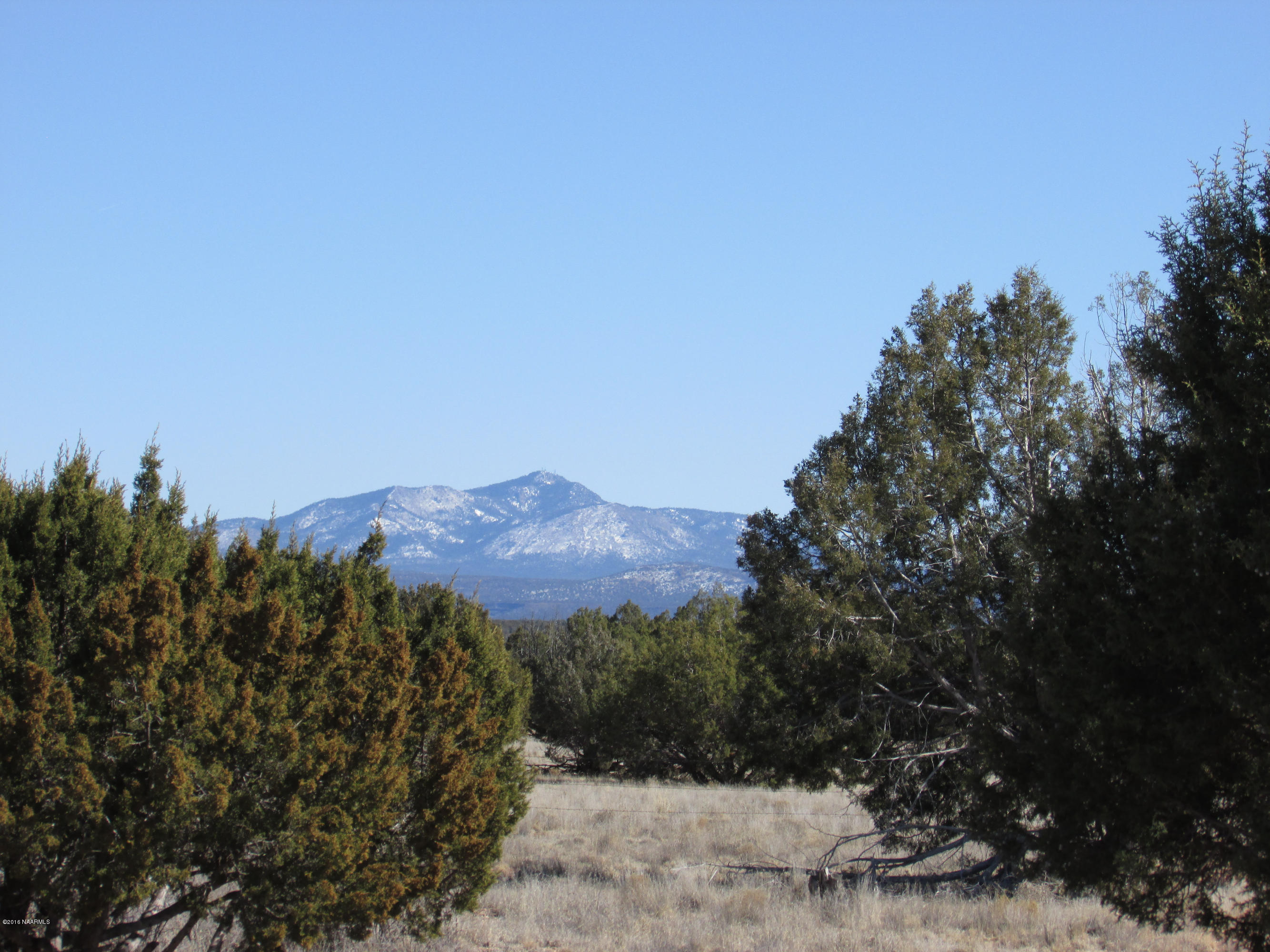 0 Ringer Road Ash Fork, AZ 86320 - Photo 15 of 20 feb62016 050