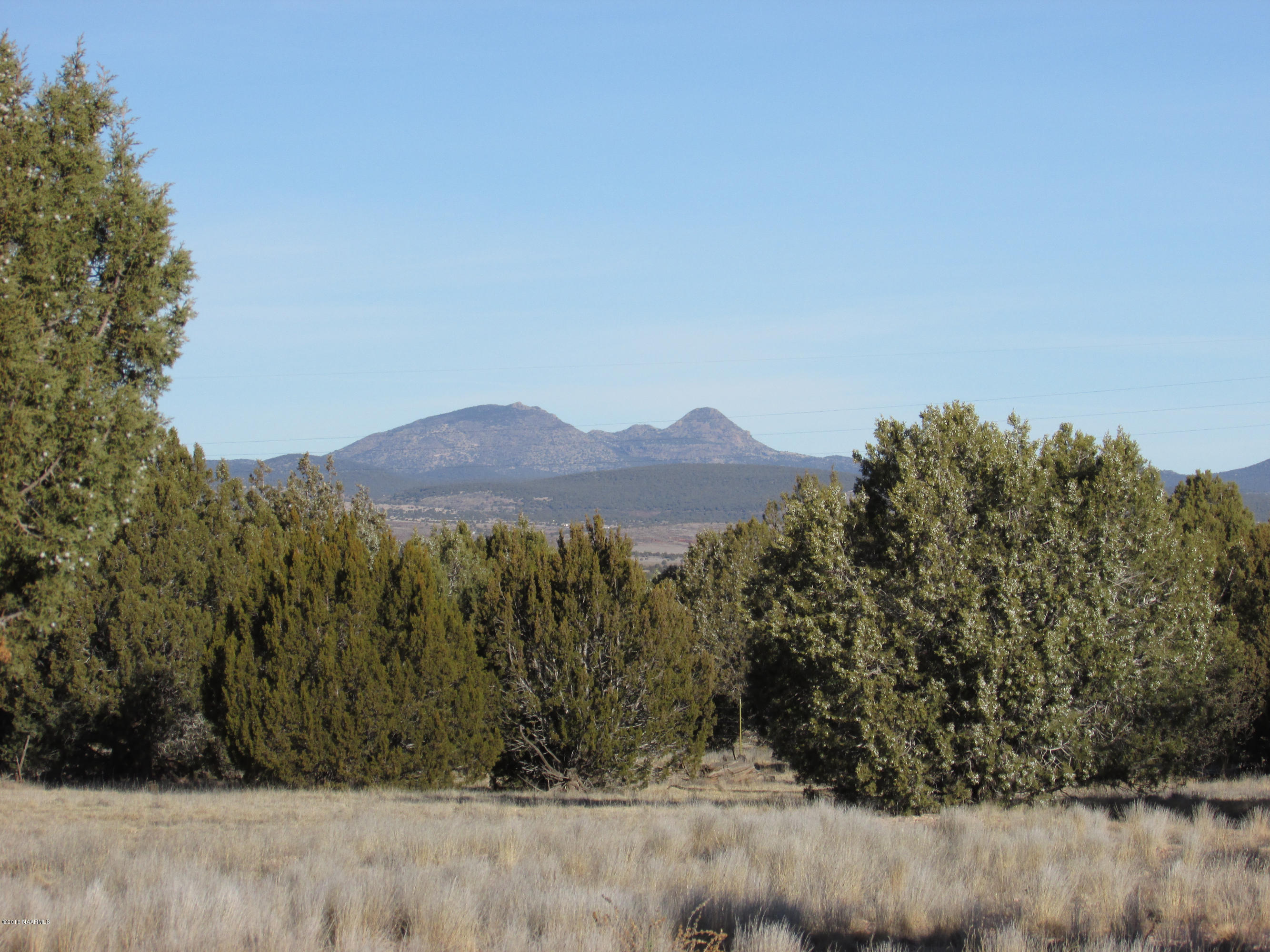0 Ringer Road Ash Fork, AZ 86320 - Photo 17 of 20 ringer 020
