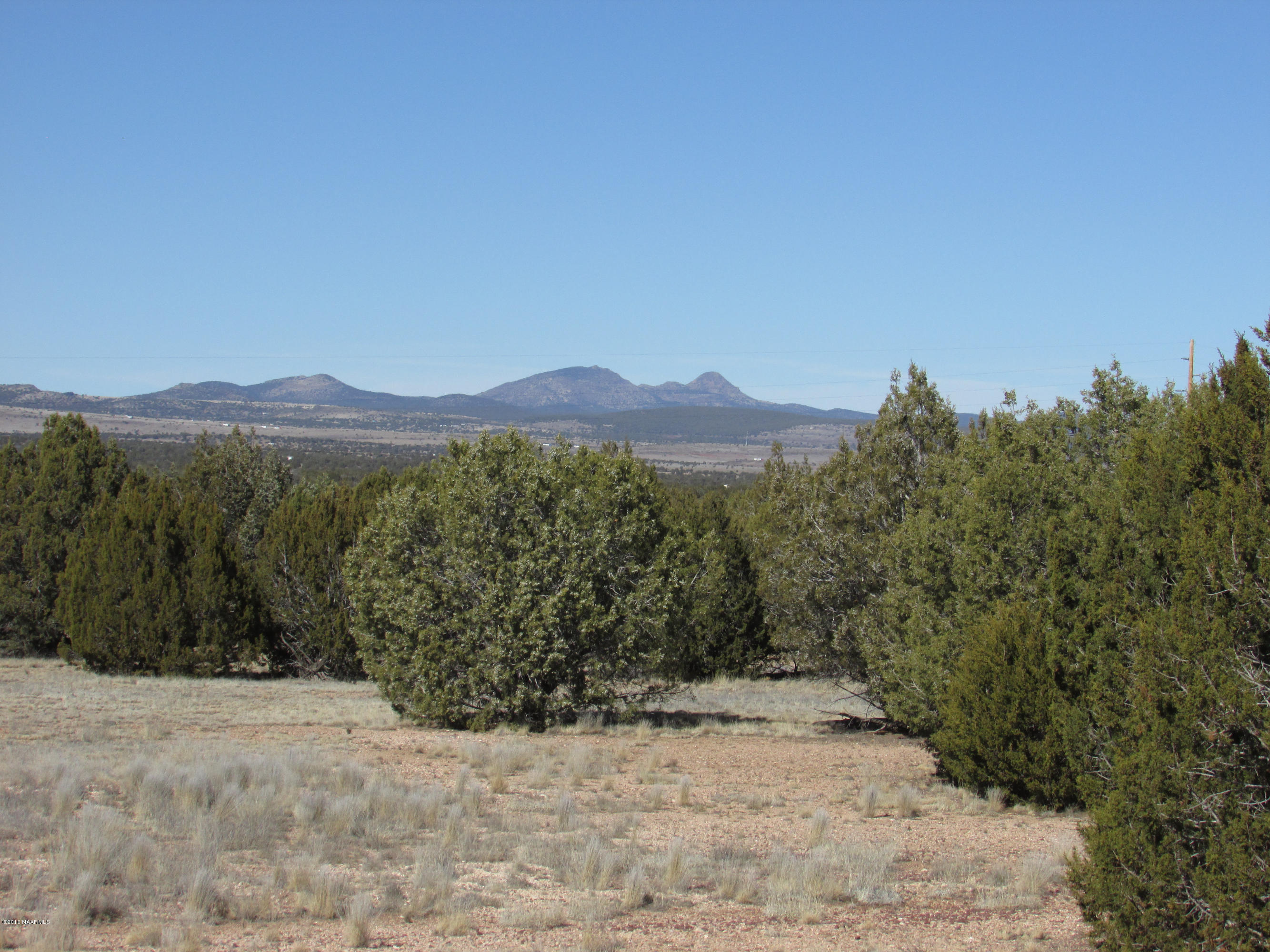 0 Ringer Road Ash Fork, AZ 86320 - Photo 19 of 20 feb62016 036