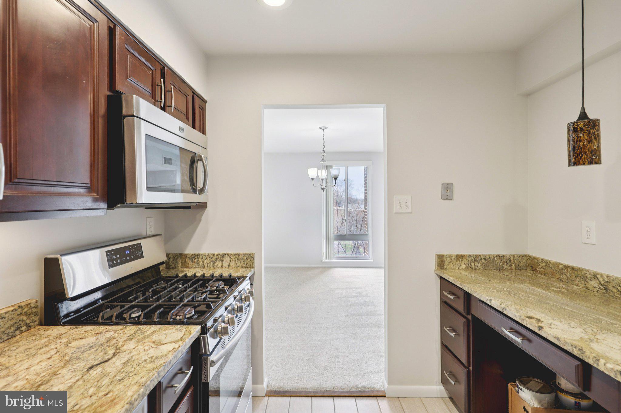 9900 Georgia Avenue, Unit 27306 Silver Spring, MD 20902 - Photo 6 of 23 Access to the Dining Room