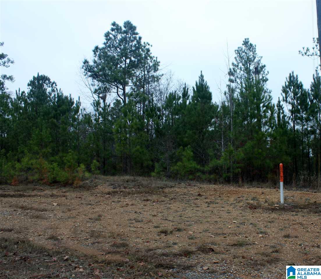 Shoreside Lane, Unit 201 Sylacauga, AL 35151 - Photo 14 of 15