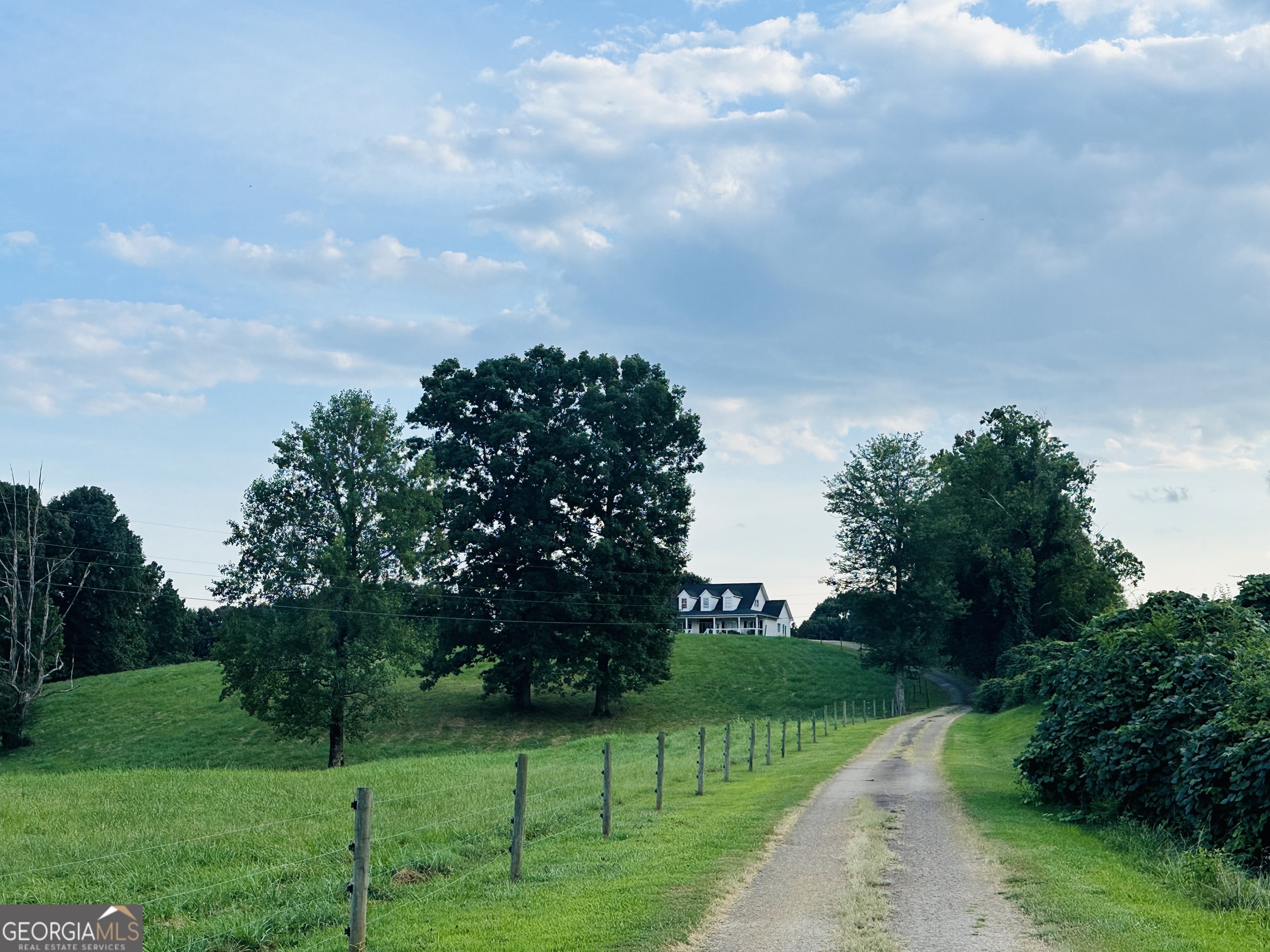 a view of a park with a tree in the background