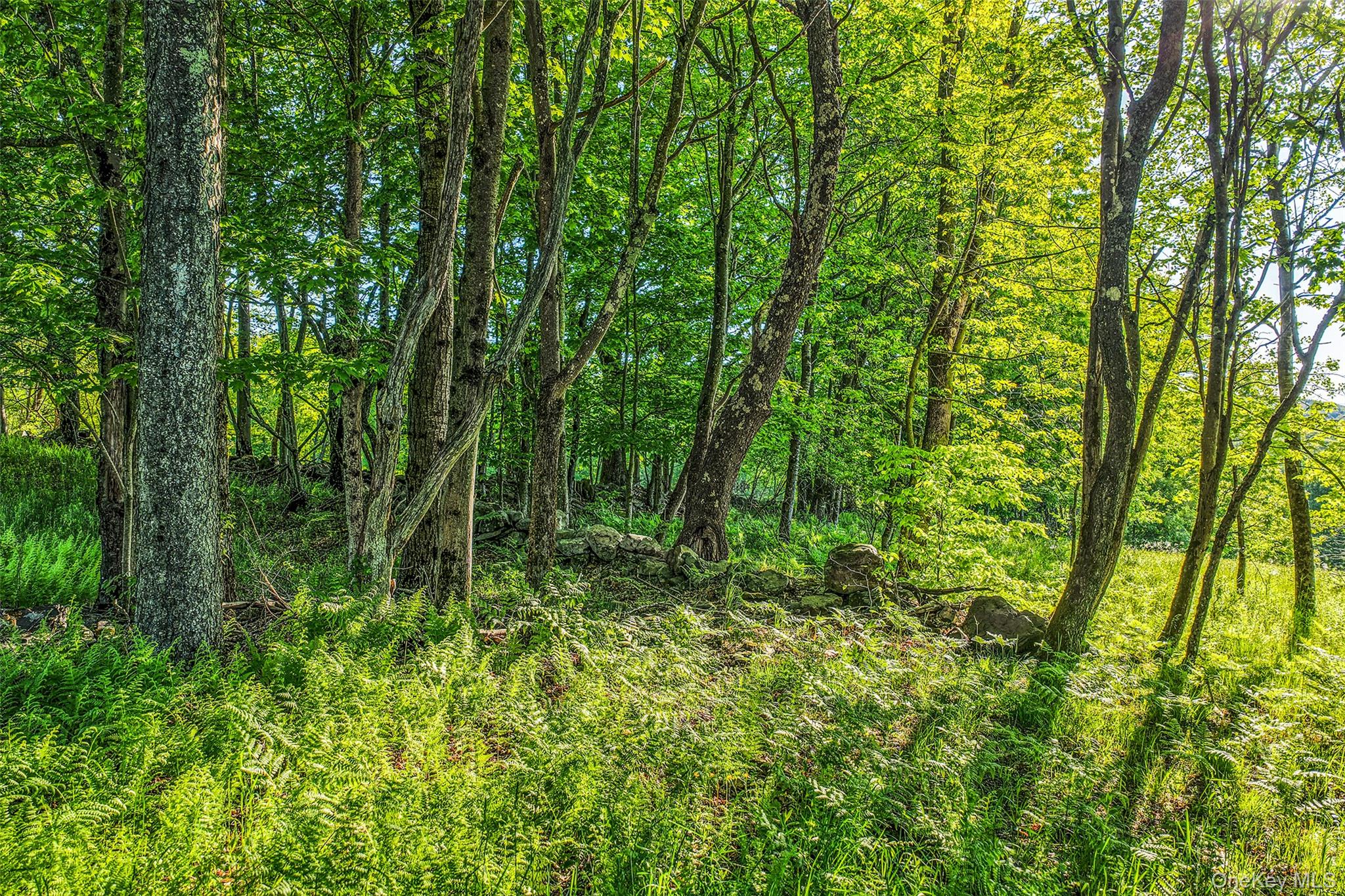 Frank Slawson Road Oneonta, NY 13820 - Photo 19 of 30 Gallery Image 19