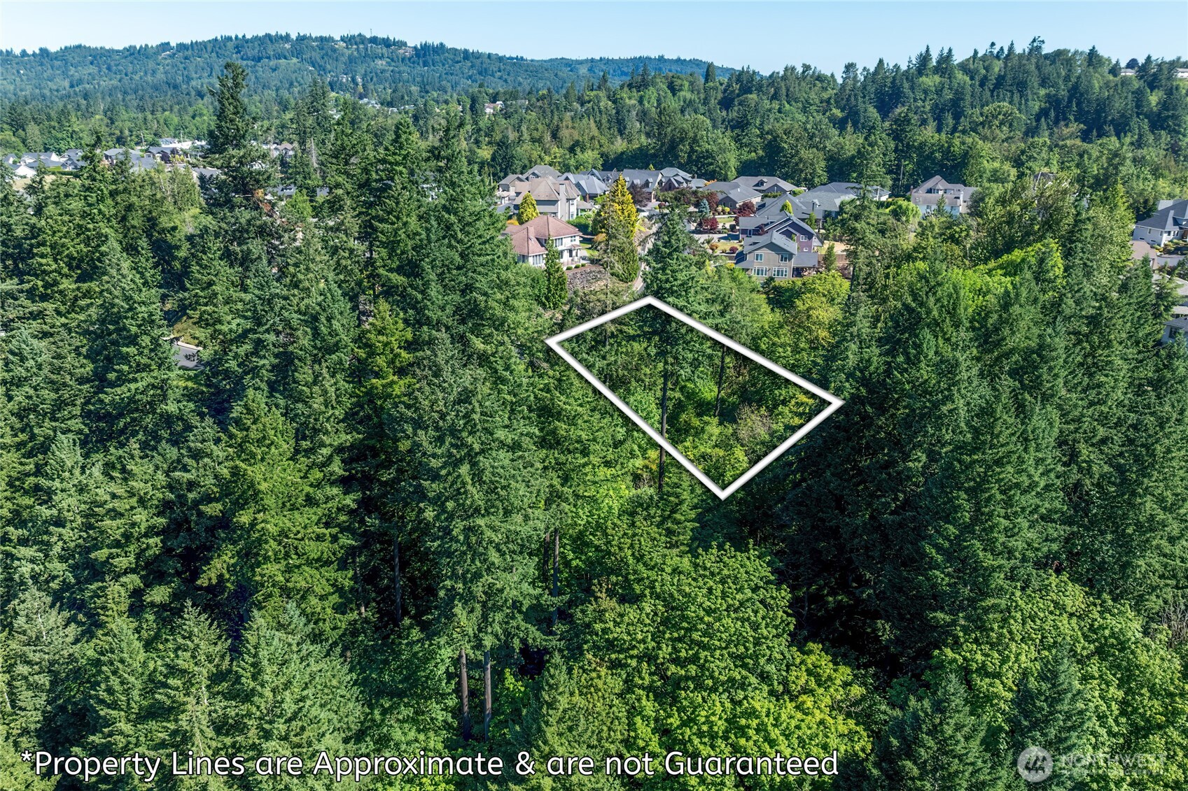 14 Forest Hill Estate Longview, WA 98632 - Photo 3 of 14 a view of a tennis court