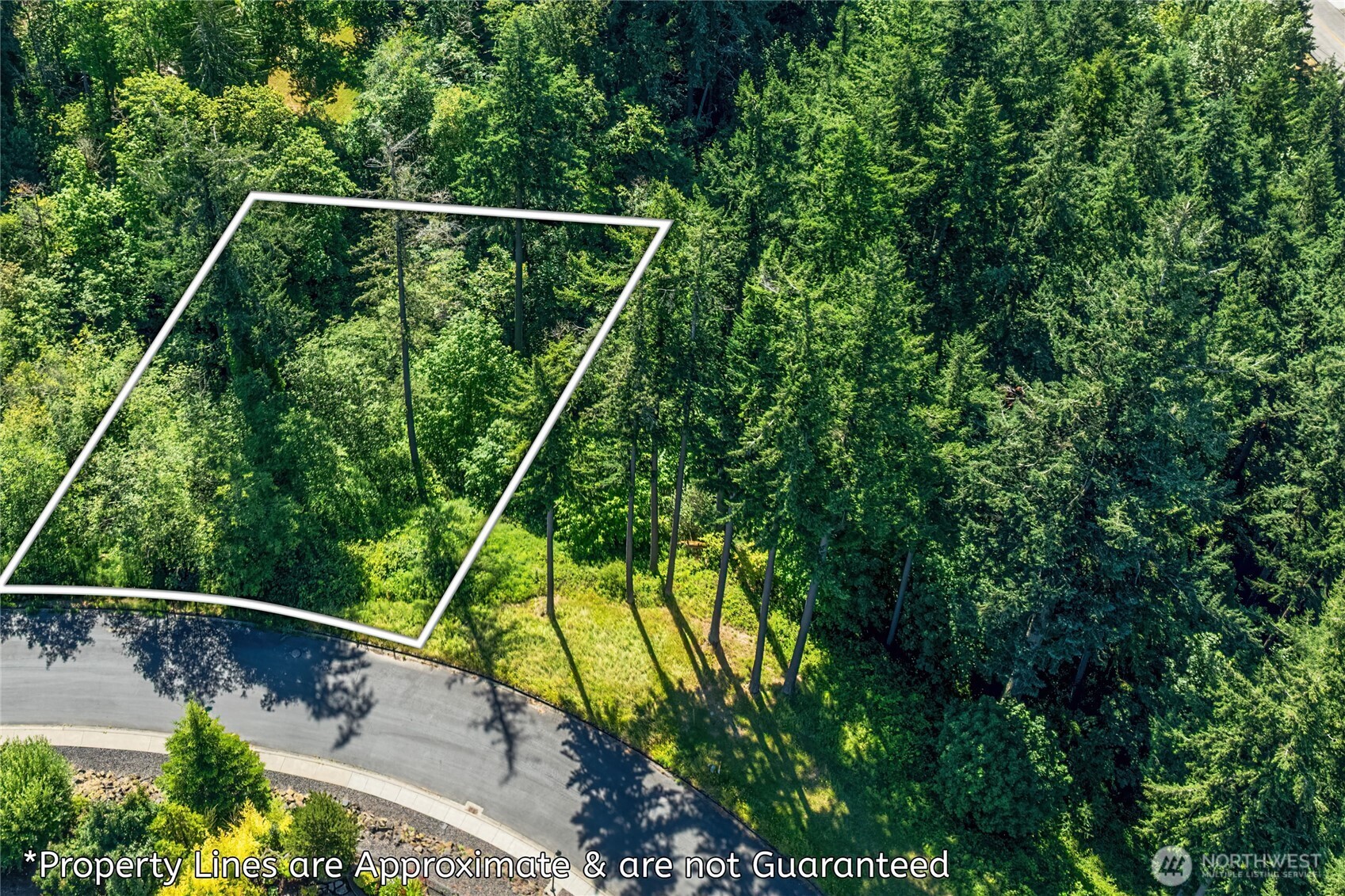 14 Forest Hill Estate Longview, WA 98632 - Photo 4 of 14 a view of a yard with a tree in a yard