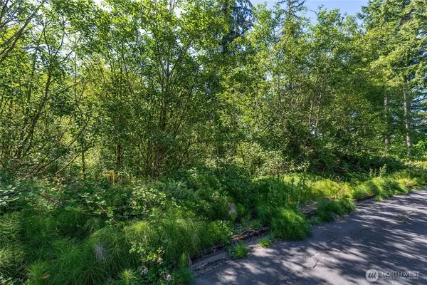 a view of a large yard with lots of green space