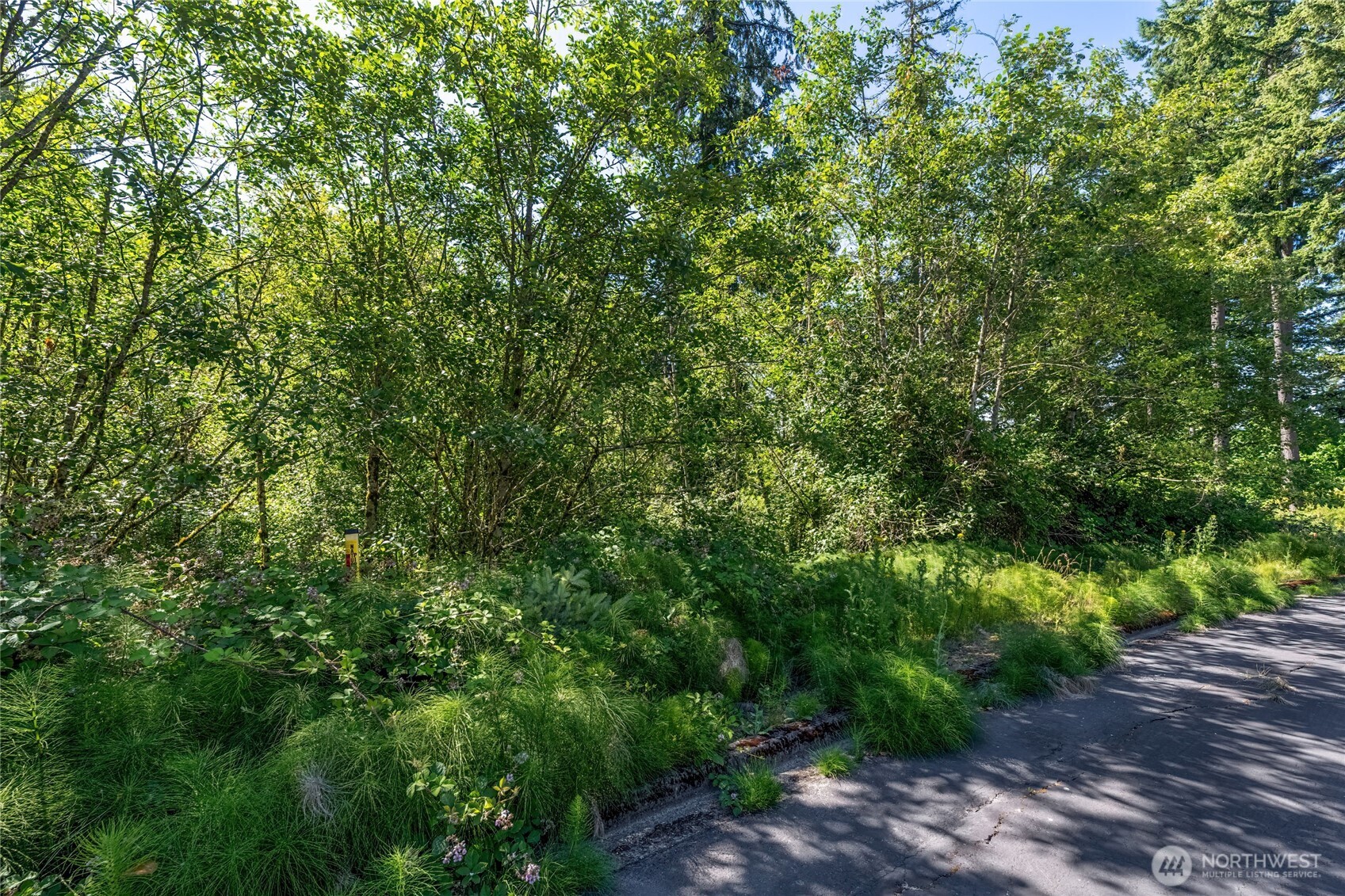 14 Forest Hill Estate Longview, WA 98632 - Photo 6 of 14 a view of a large yard with lots of green space