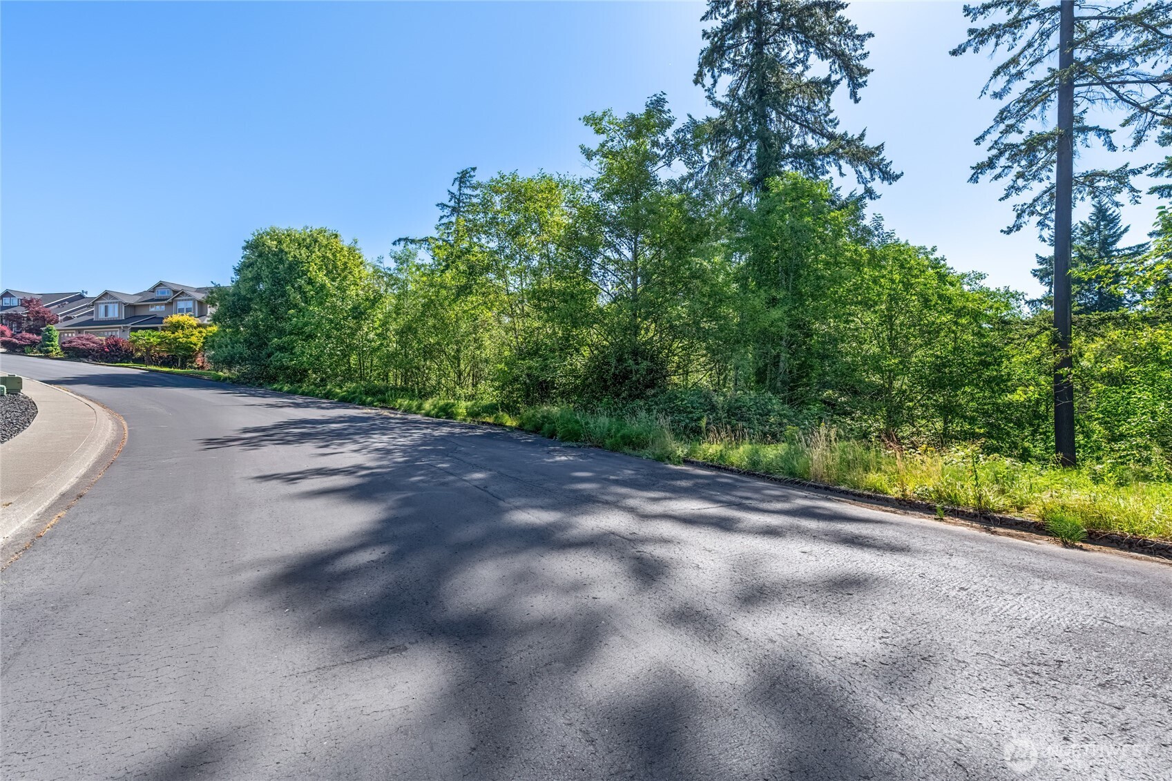 14 Forest Hill Estate Longview, WA 98632 - Photo 7 of 14 a view of a road from a yard