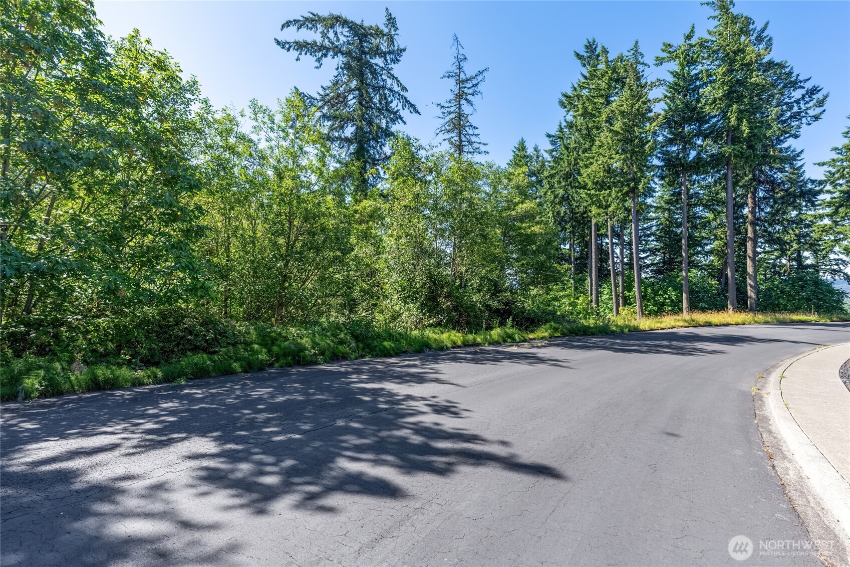 14 Forest Hill Estate Longview, WA 98632 - Photo 8 of 14 a view of a park with large trees