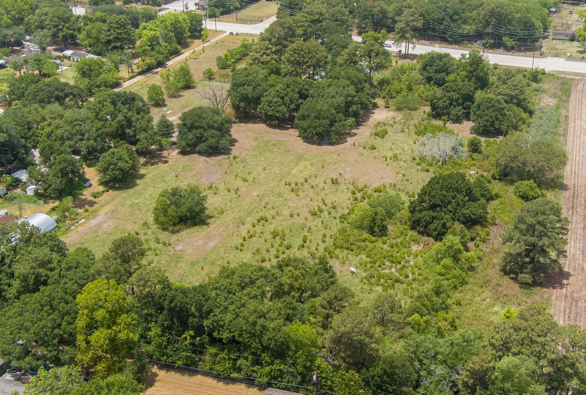 22414 Gosling Road Spring, TX 77389 - Photo 3 of 10