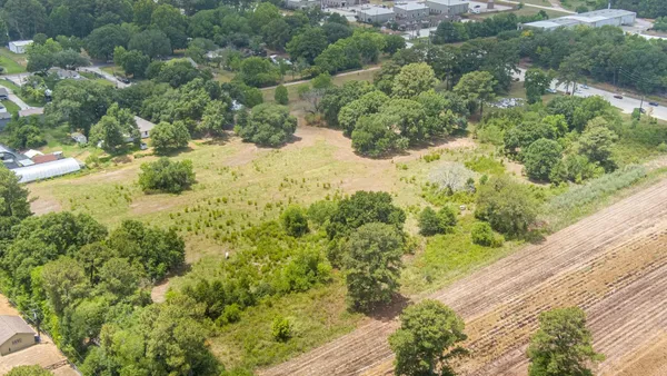 a view of a garden with a tree