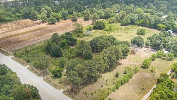 a view of a yard with a tree