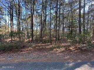 84 Old Jamestown Road Kinston, NC 28504 - Photo 1 of 4 Wooded Lot