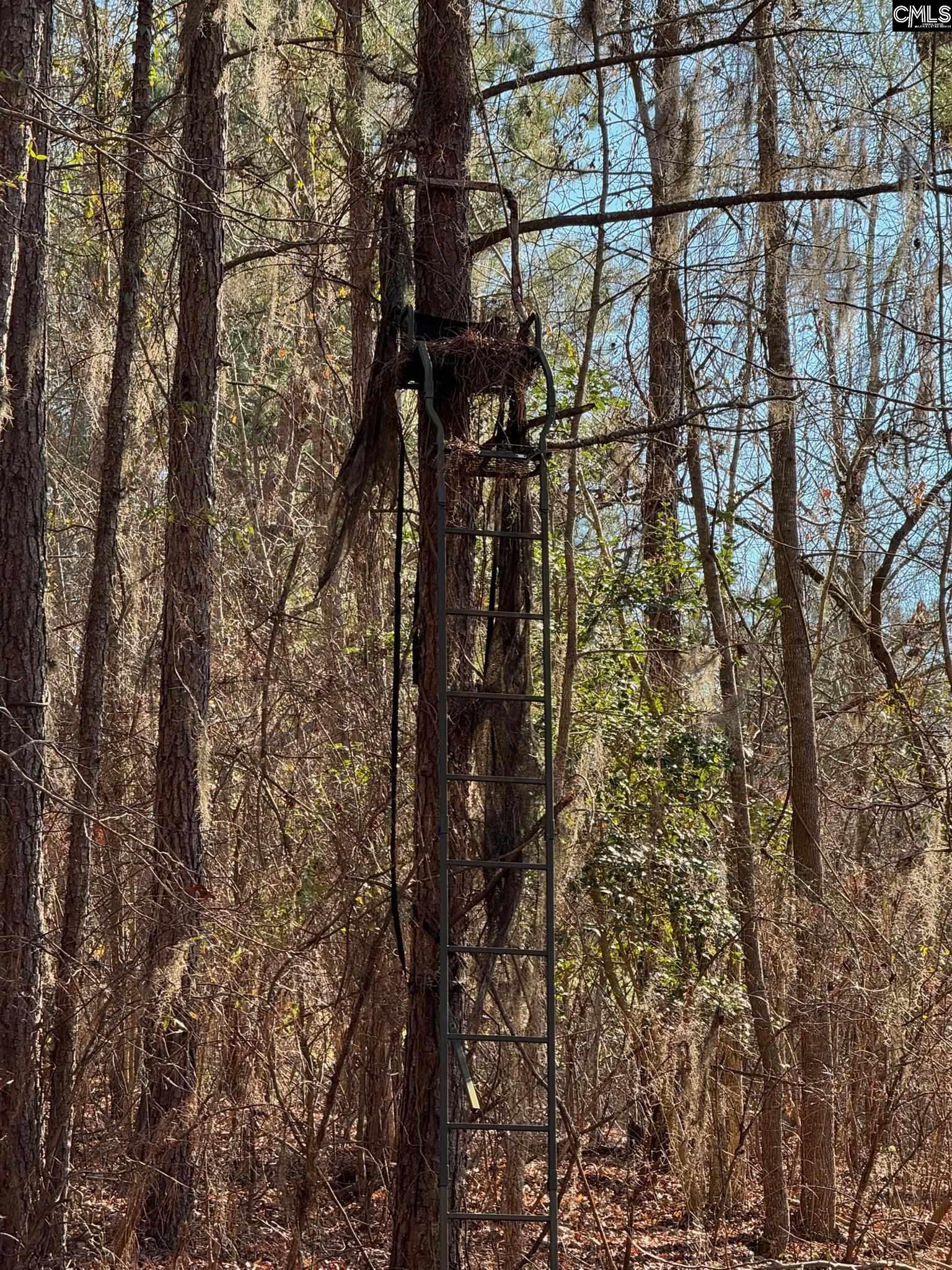 0 Sardis Church Road Swansea, SC 29160 - Photo 5 of 6