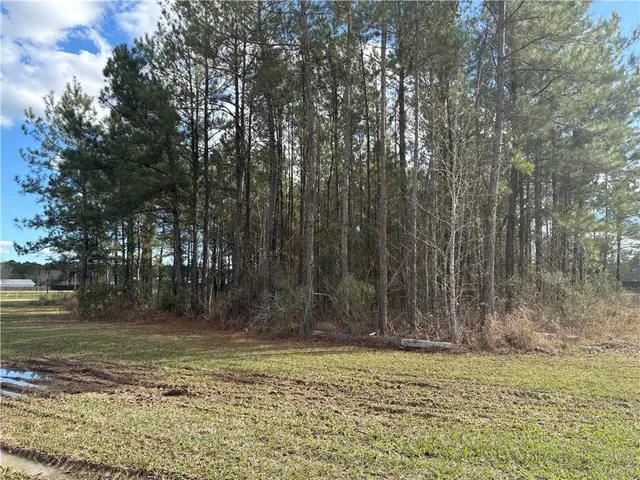 $75,000 | 0 Highway 442 Highway, Tickfaw, LA 70466
