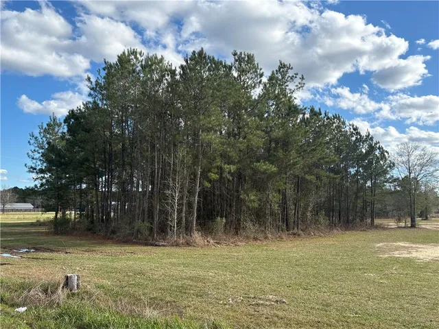 $75,000 | 0 Highway 442 Highway, Tickfaw, LA 70466