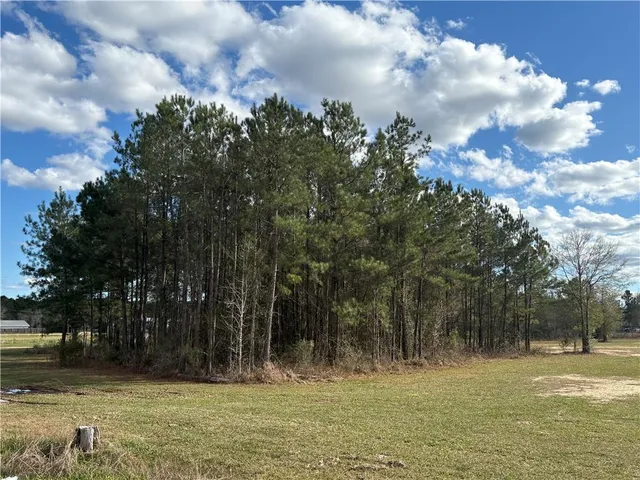 $75,000 | 0 Highway 442 Highway, Tickfaw, LA 70466