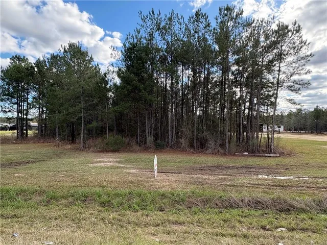 $75,000 | 0 Highway 442 Highway, Tickfaw, LA 70466