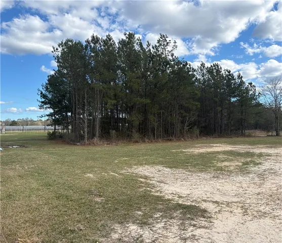$75,000 | 0 Highway 442 Highway, Tickfaw, LA 70466