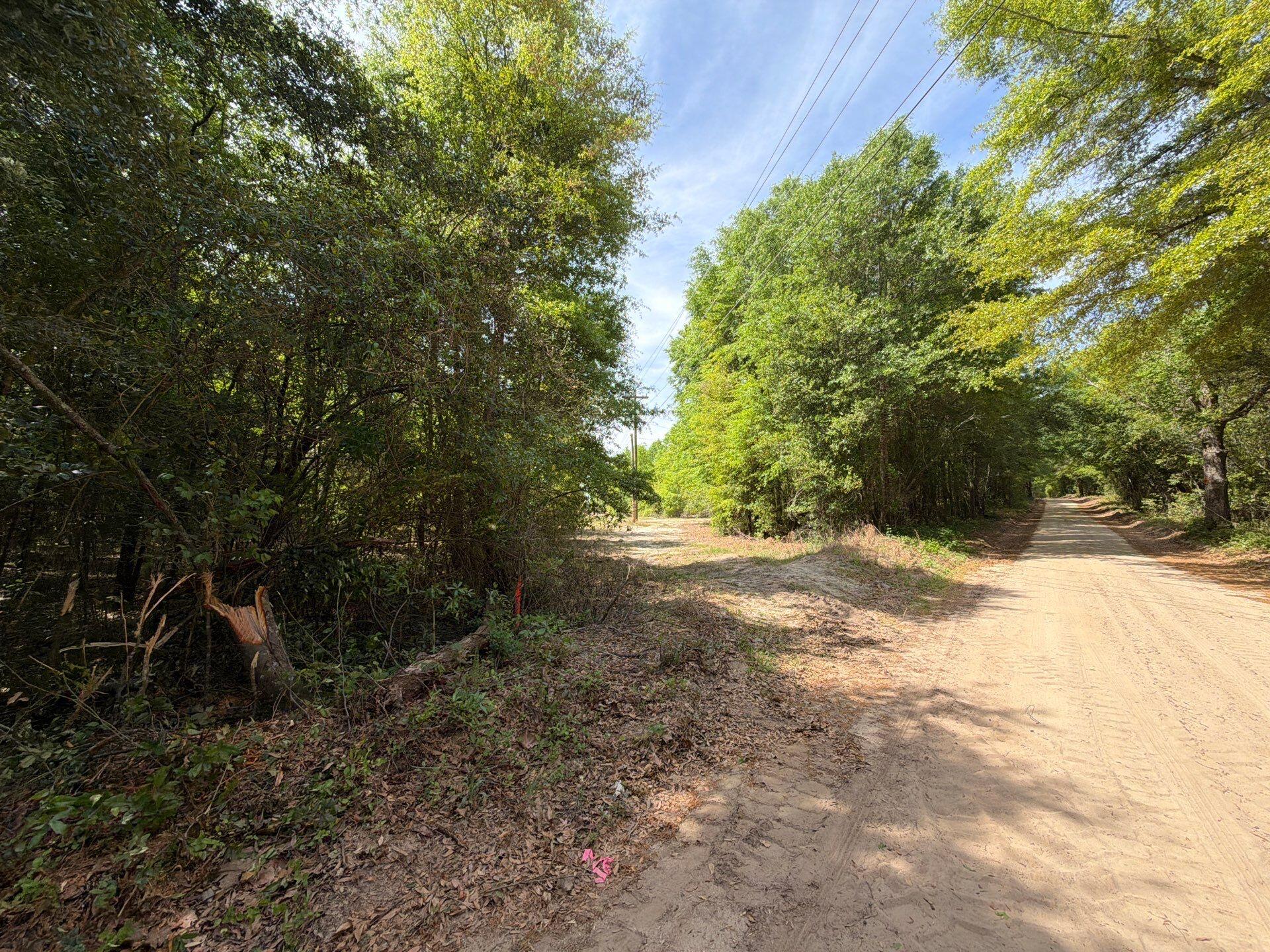 4 Rogers Cemetery Road, Unit RRF 4 Salley, SC 29137 - Photo 3 of 21 Gallery Image 3