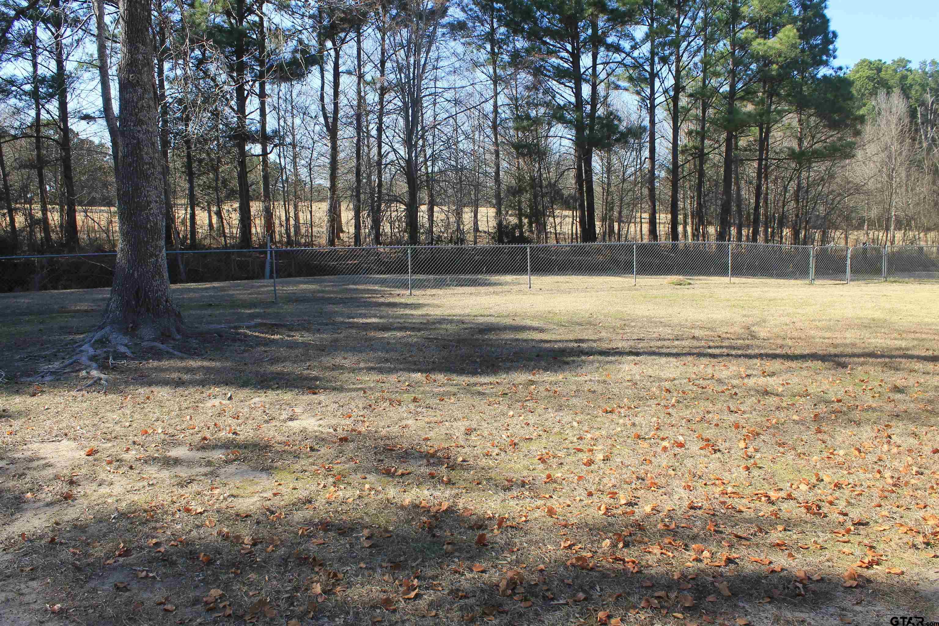 601 Kickapoo Street Chandler, TX 75758 - Photo 2 of 26