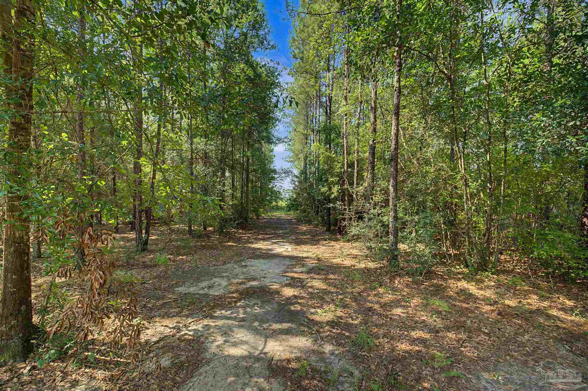 1831 Pineview Church Road Jay, FL 32565 - Photo 44 of 52