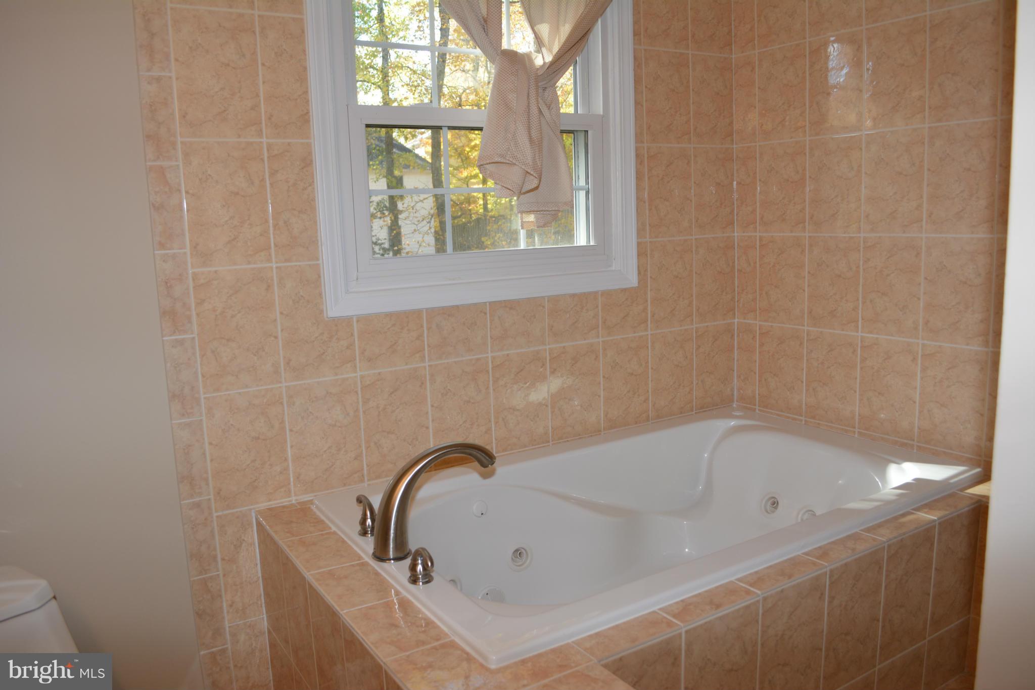 18328 Cabin Road Triangle, VA 22172 - Photo 19 of 26 Bath (Master)