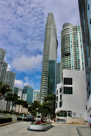 a view of a tall building with a palm tree