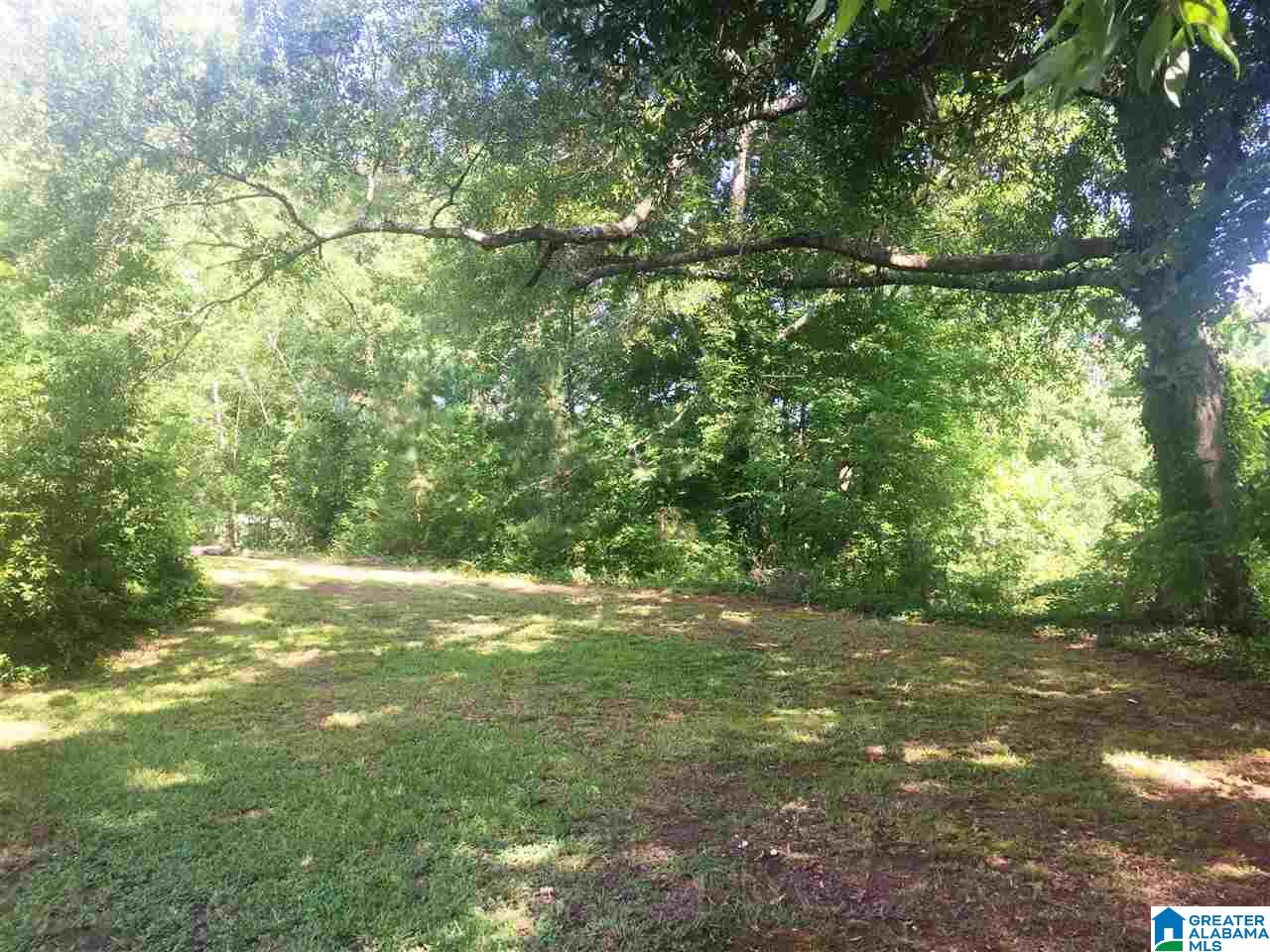 133 Gauldinville Road Anniston, AL 36201 - Photo 10 of 27