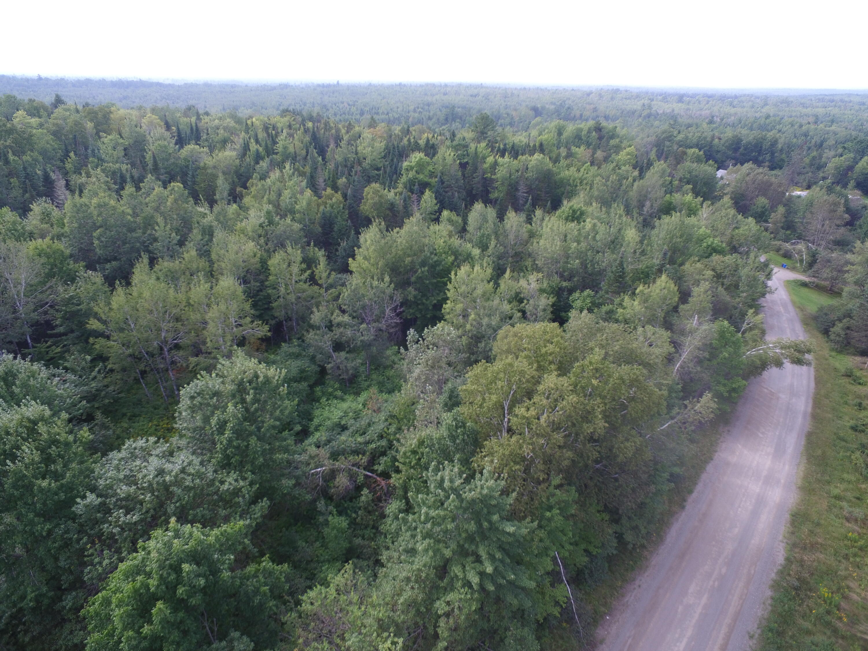 2 Pickle Ridge Road Springfield, ME 04487 - Photo 5 of 9 DJI_0035