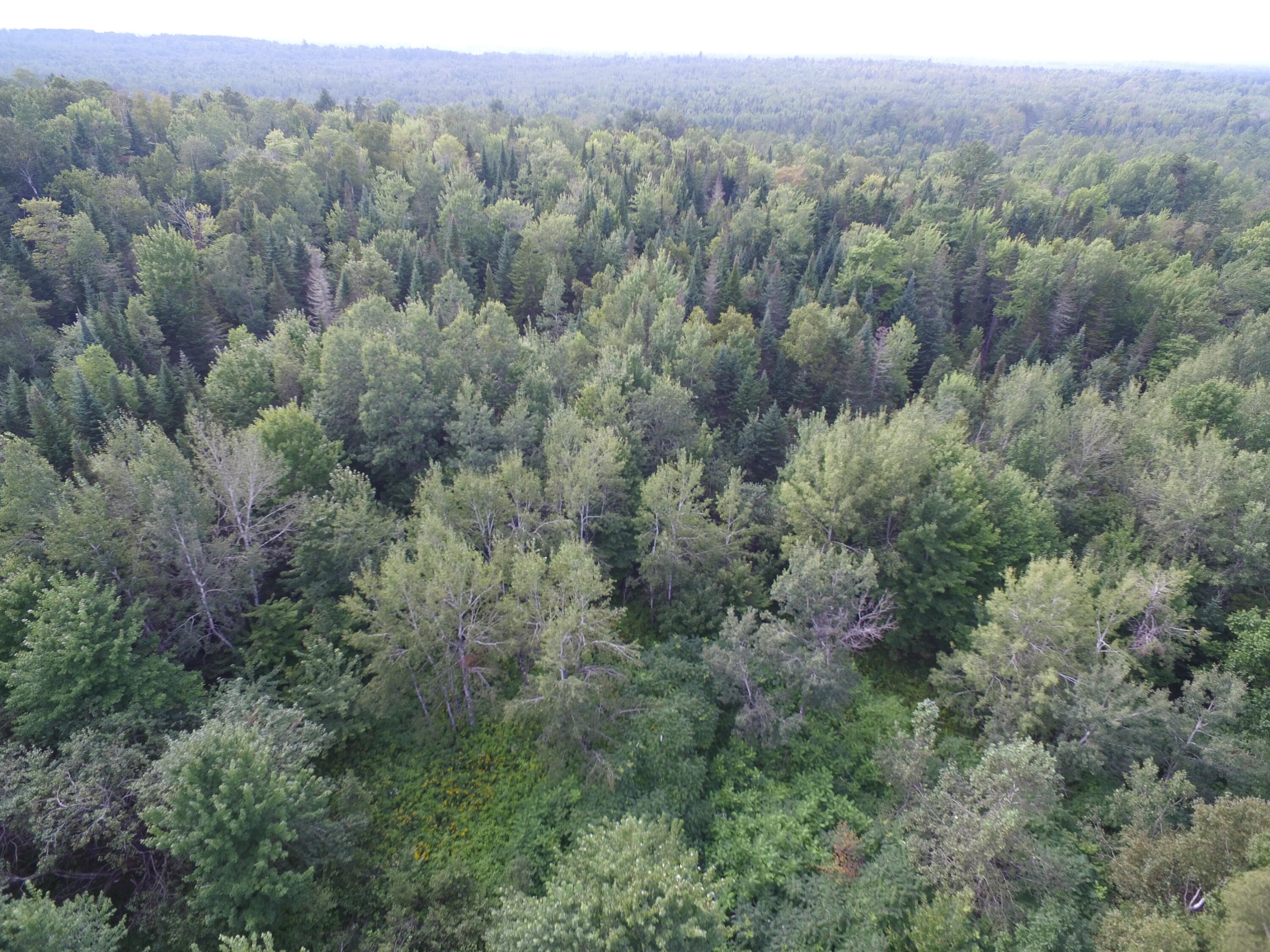 2 Pickle Ridge Road Springfield, ME 04487 - Photo 6 of 9 DJI_0036